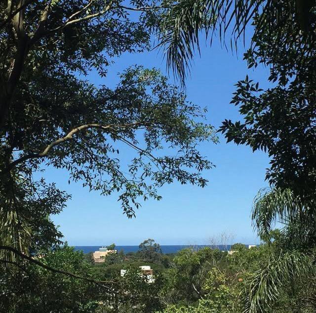 Casa Figueira Na Pedra Otel Florianópolis Dış mekan fotoğraf