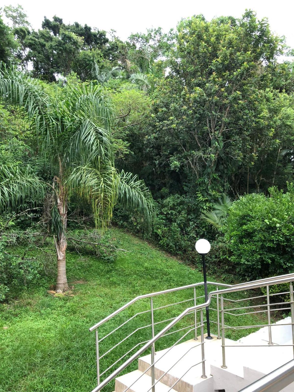 Casa Figueira Na Pedra Otel Florianópolis Dış mekan fotoğraf
