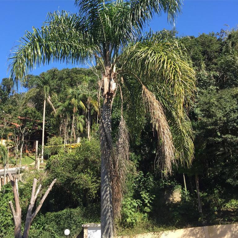 Casa Figueira Na Pedra Otel Florianópolis Dış mekan fotoğraf
